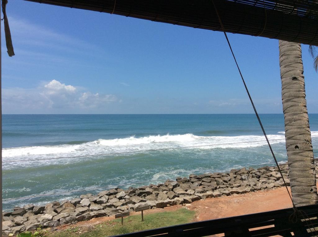 Palm Tree Anex Hotell Varkala Rum bild